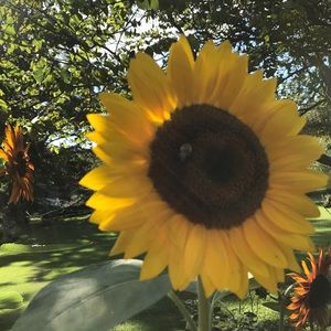 Meet your Posher, Patty